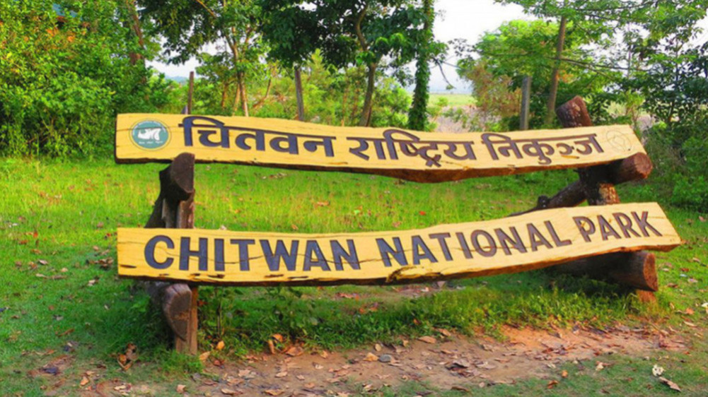 निकुञ्जसम्बन्धी कसुरः ४४२ जना पक्राउ