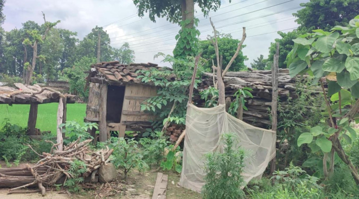 कञ्चनपुरमा भत्काइयो ३९ वटा छाउगोठ