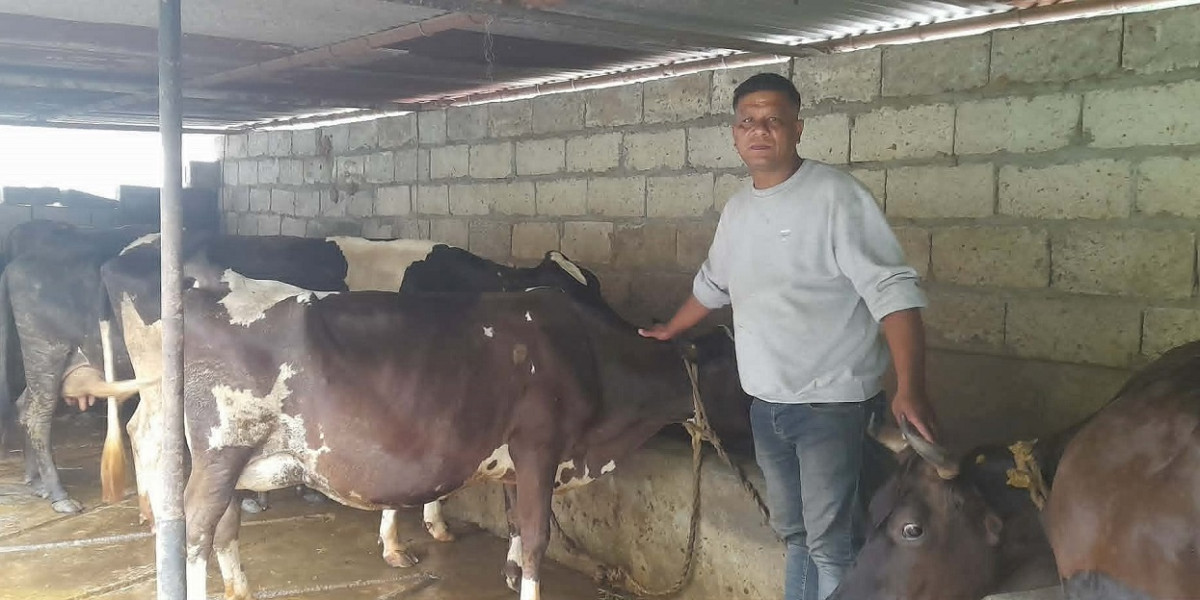 खाडीबाट फर्केर गाईपालनबाट मासिक दुई लाख आम्दानी