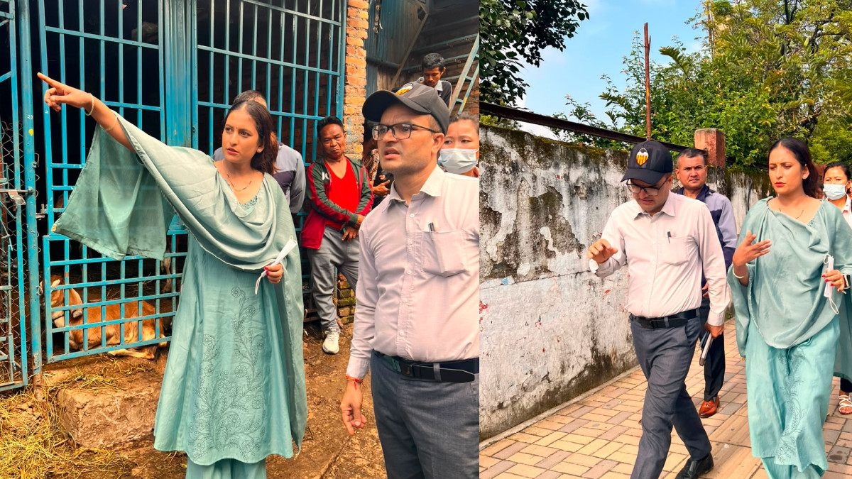 भृकुटीमण्डपलाई नागरिकमैत्री सार्वजनिक केन्द्र बनाउने तयारी