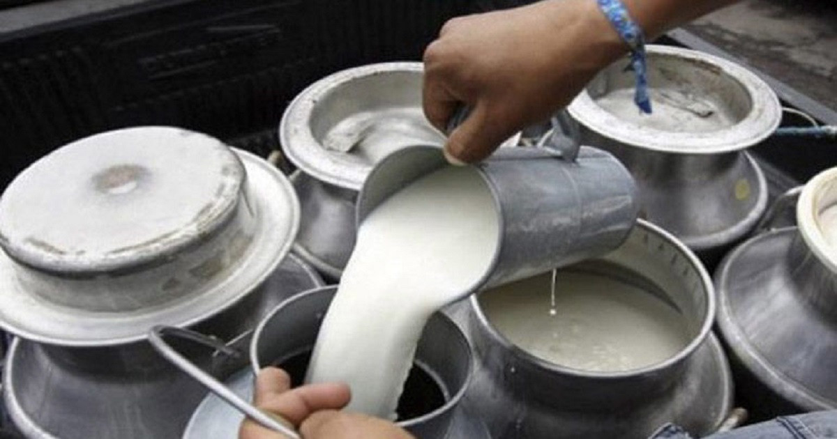 कञ्चनपुरका किसानले अझै पाएनन् दूधको भुक्तानी, ६ करोड भुक्तानी बाँकी