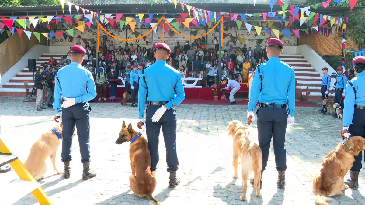 आज मनाइयो कुकुर तिहार