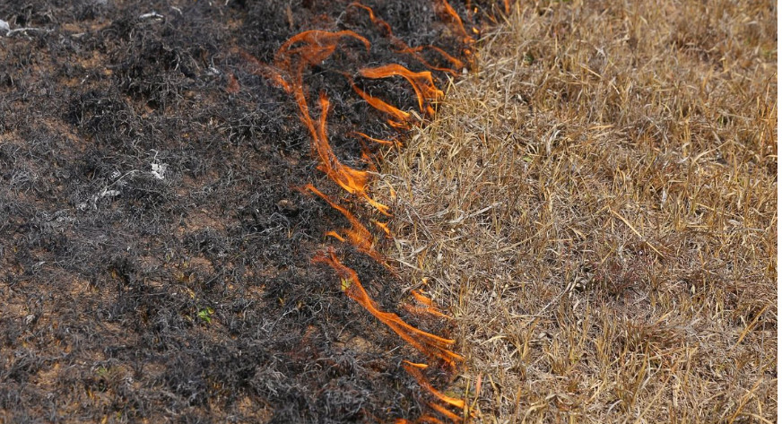 २४ घण्टामा देशभर १७ आगलागीका घटना