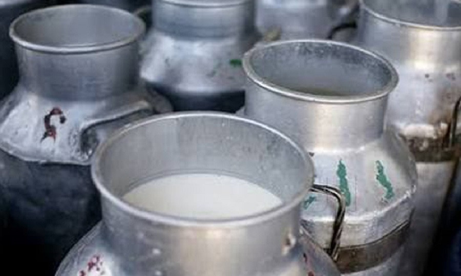 भारतमा दूध महँगिएपछि नेपाली किसानलाई बजारको अवसर