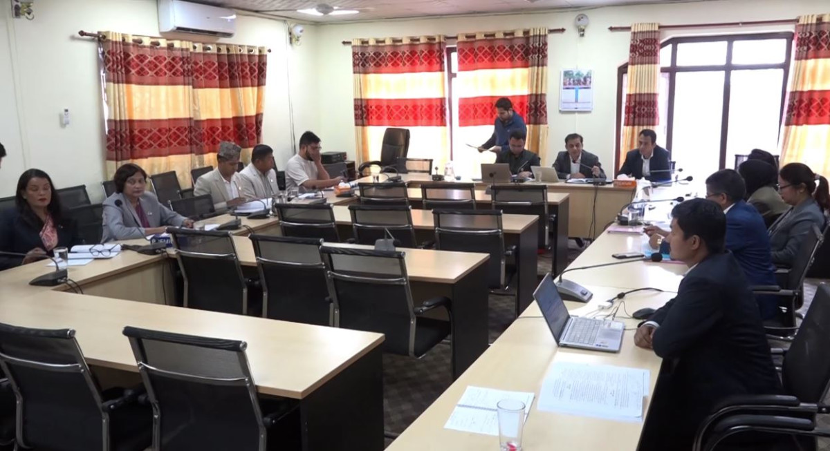 प्रतिनिधिसभा नियमावली मस्यौदा समितिको बैठक सिंहदबारमा जारी