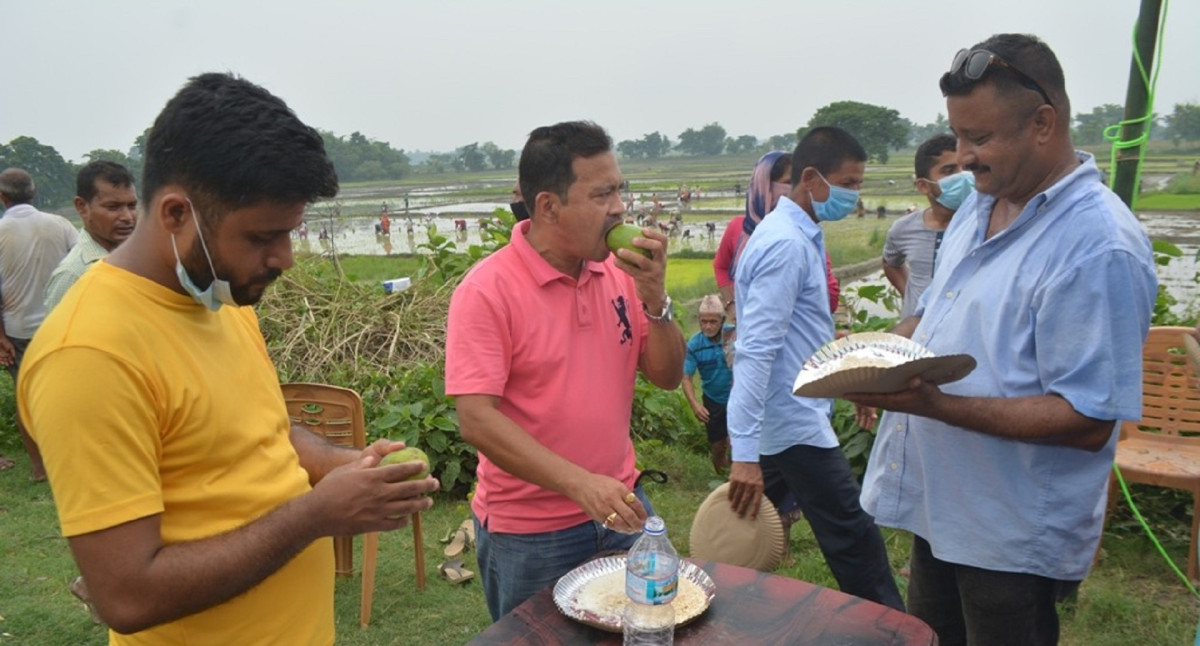 असार १५: धान दिवससहित दही चिउरा खाने दिन