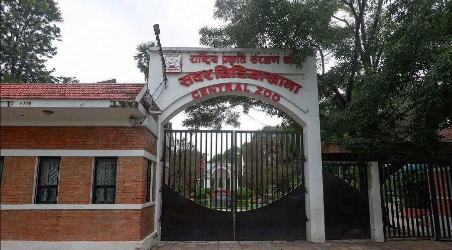 सदर चिडियाखानामा बर्डफ्लु नियन्त्रणमा