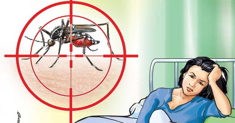 चितवनमा एक वर्षमा २७४ जनामा डेङ्गु