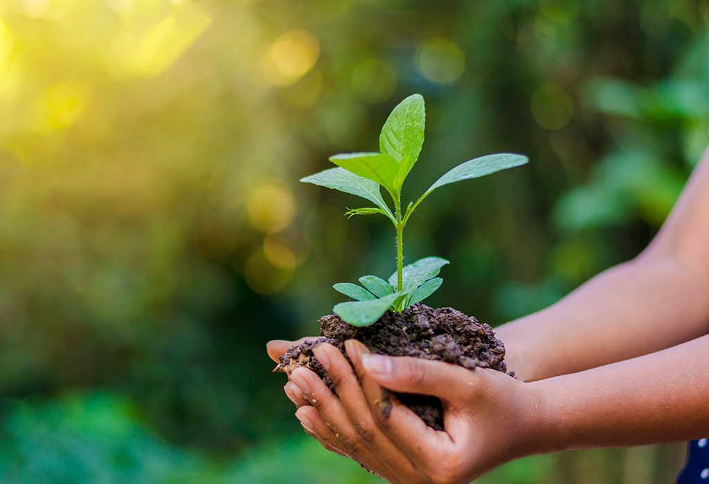 सार्वजनिक ऐलानी जग्गामा आठ हजार बिरुवा रोपियो