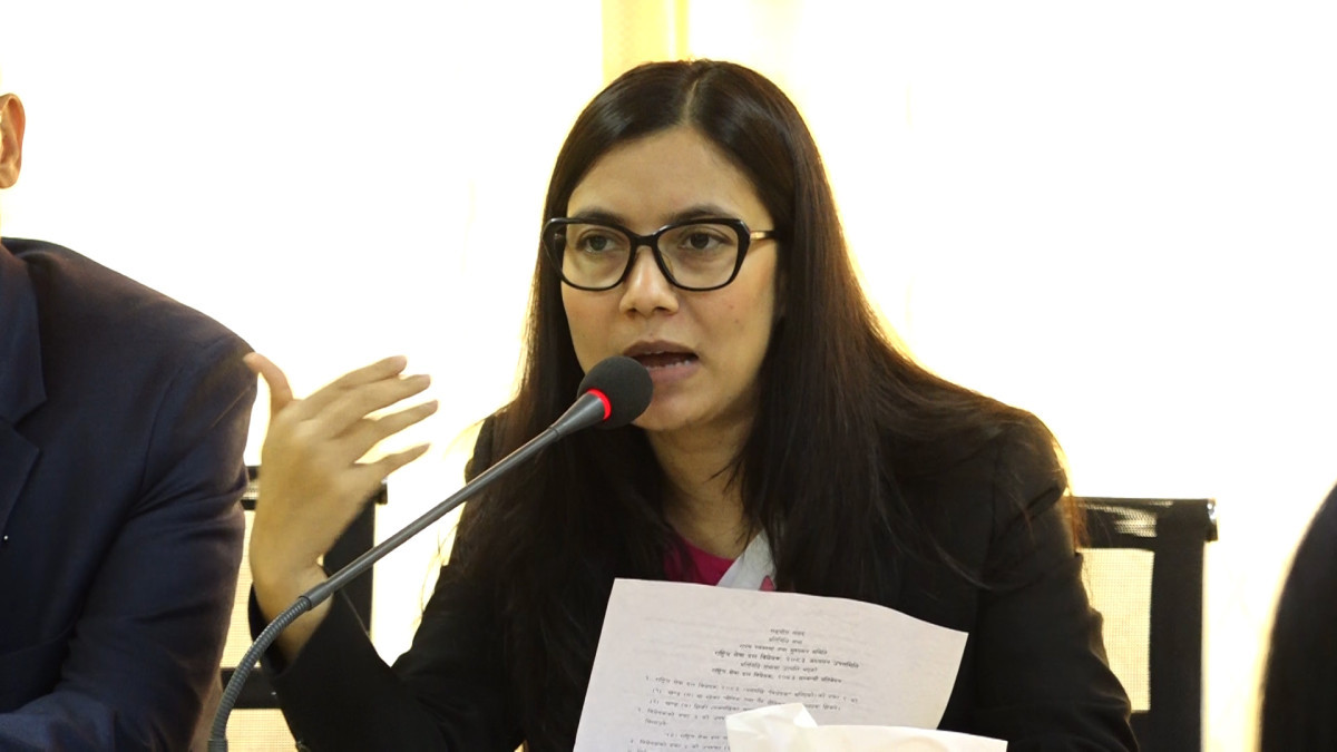 सरकार र निजी क्षेत्रबीचको टकरावलाई अल्झिन नदिन पूर्वाधार अदालत गठन आवश्यक : साेविता गाैतम