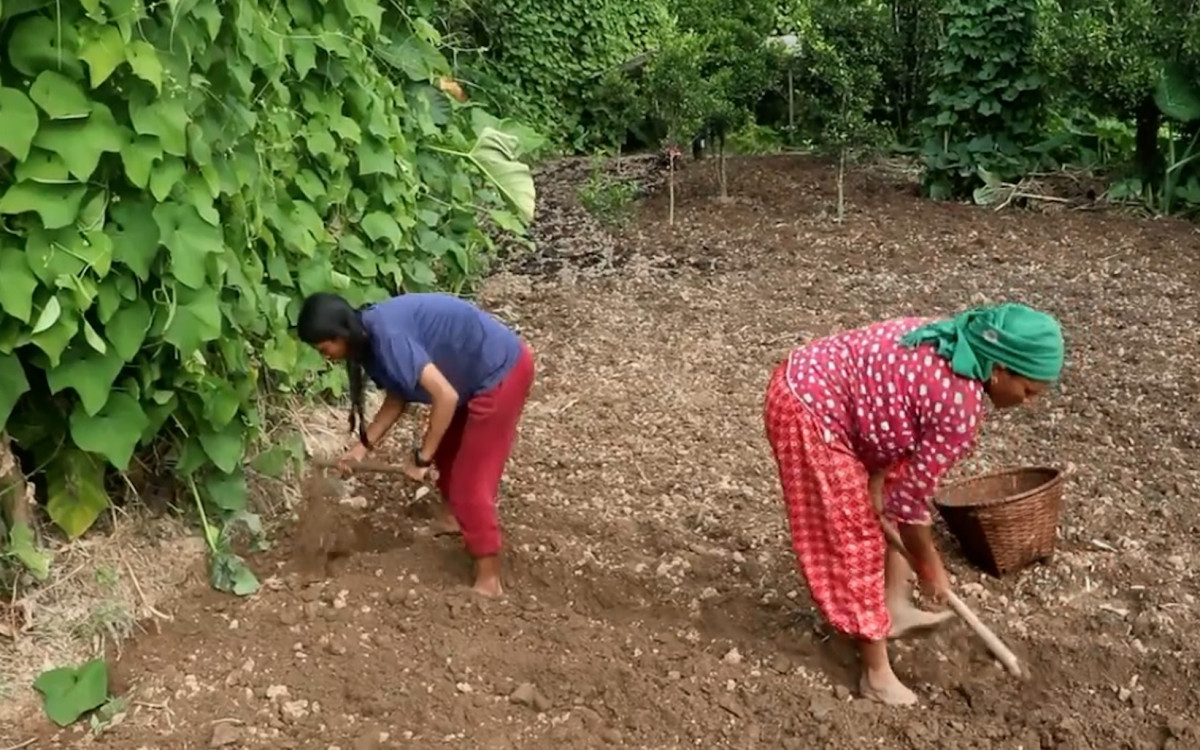 हिउँदे आलु रोप्न भोजपुरका किसानलाई चटारो