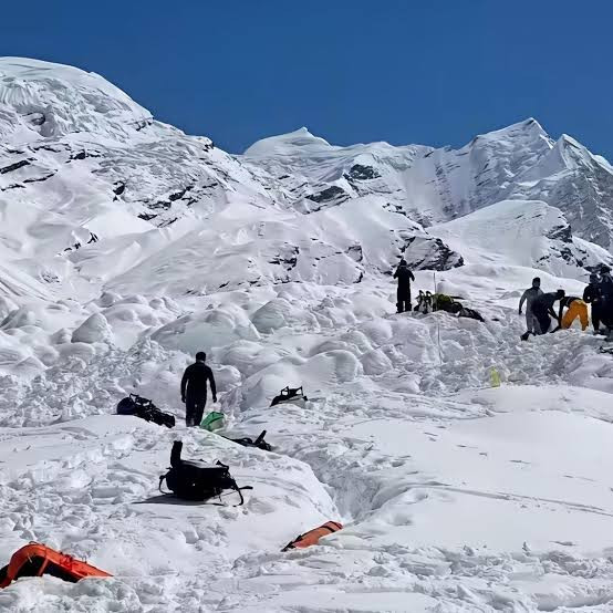 हिमपातले लिमीमा चौरीसहित २०० पशु बेपत्ता, खोजीमा कठिनाइ