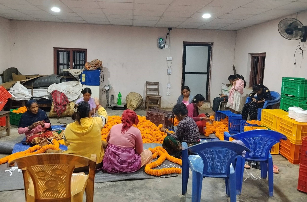 तिहारमा दश लाखको सयपत्री फूल बेच्ने लक्ष्य