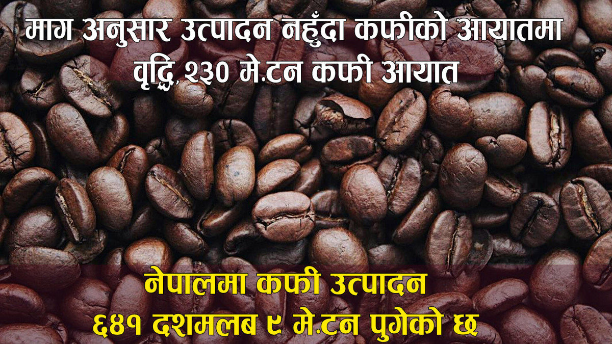 २१ औँ राष्ट्रिय कफी दिवसः मागअनुसार उत्पादन नहुँदा कफीको आयातमा वृद्धि, २३० मे.टन कफी आयात
